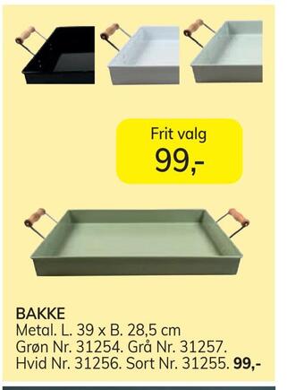 Bakke