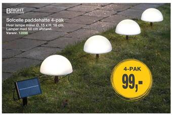Harald Nyborg Solcelle paddehatte 4-pak tilbud