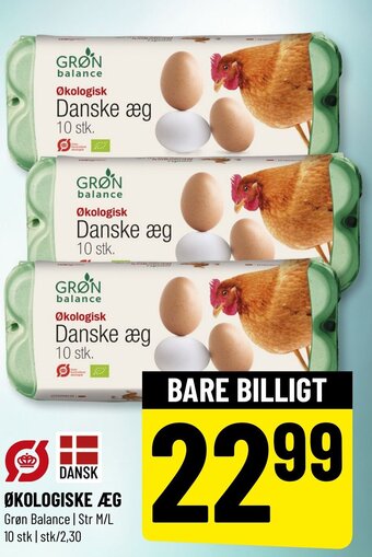 ØKOLOGISKE ÆG