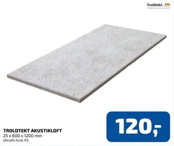 Troldtekt akustikloft