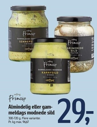Føtex Salling princip almindelig eller gammeldags modnede sild tilbud
