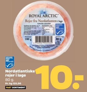 Royal arctic rejer