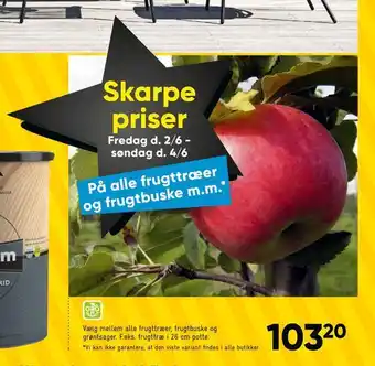 På alle frugttræer og frugtbuske m.m.