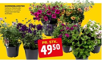Ukendt planter