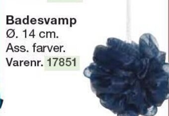 Badesvamp