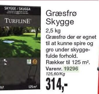 Harald Nyborg Græsfrø Skygge tilbud