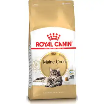 Royal canin maine coon 31