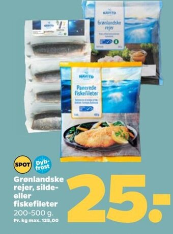 Netto Grønlandske rejer, silde-eller fiskefileter tilbud