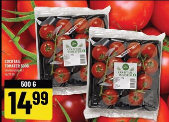 Løvbjerg COCKTAIL TOMATER 500G tilbud