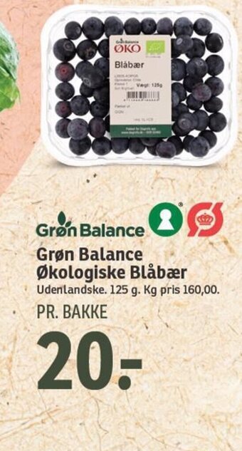 SPAR Grøn Balance Økologiske Blåbær tilbud