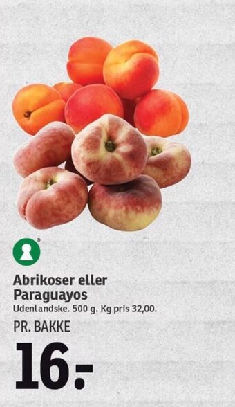 Abrikoser eller Paraguayos
