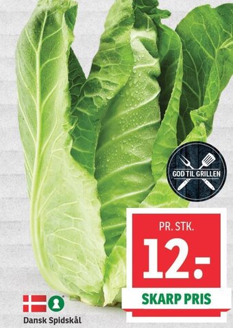 SPAR Dansk Spidskål tilbud