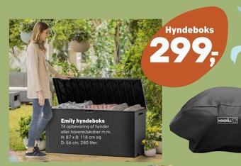 Emily hyndeboks