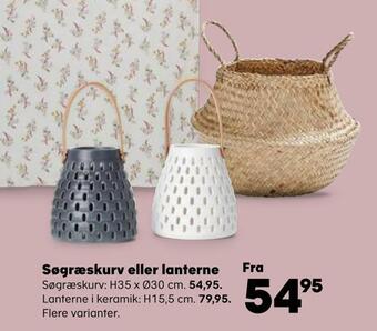 Kvickly Søgræskurv eller lanterne tilbud