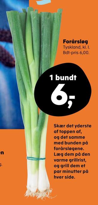 Kvickly Forårsløg tilbud