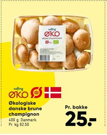 Økologiske danske brune champignon