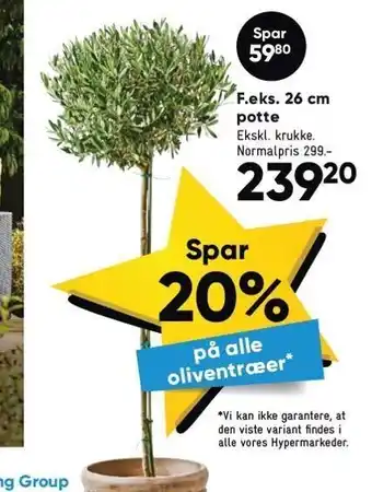 Bilka 26 cm potte tilbud