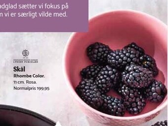 Kop & Kande Lyngby porcelæn skål tilbud