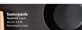 Kop & Kande Sauterpande tilbud