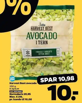 Netto Harvest best avocado i tern tilbud