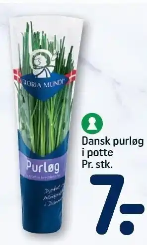REMA 1000 Dansk purløg tilbud