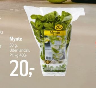 Ukendt krydderurter
