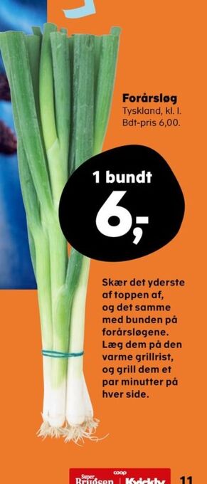 Kvickly Ukendt forårsløg tilbud