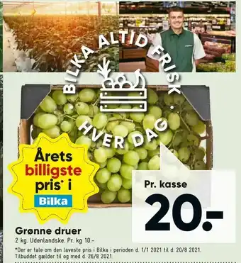 Bilka Grønne druer tilbud