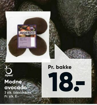 Bilka Modne avocado tilbud