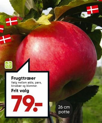 Bilka Frugttræer tilbud