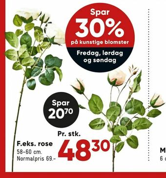 Bilka Rose tilbud