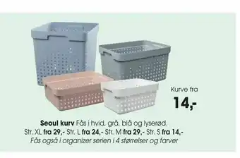 Kurve