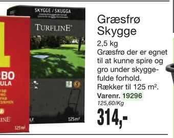 Harald Nyborg Græsfrø skygge tilbud