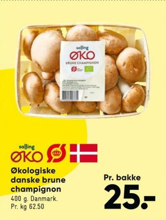 Salling øko champignon