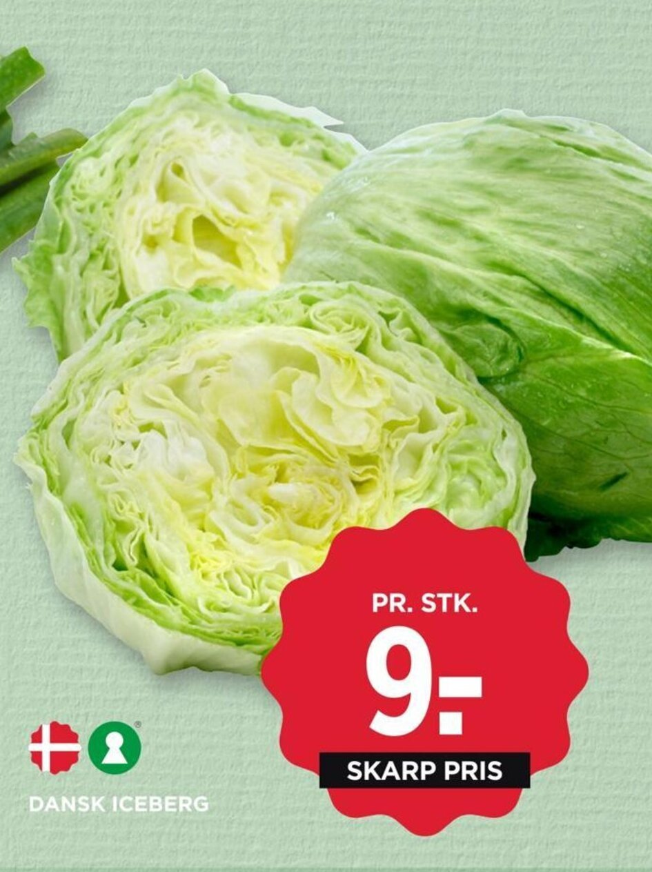 MENY DANSK ICEBERG tilbud