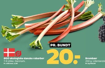 Netto Øgo rabarber tilbud