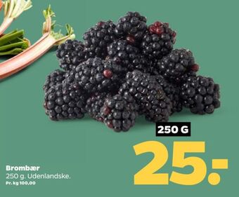 Netto Ukendt brombær tilbud