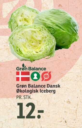 Grøn balance icebergsalat
