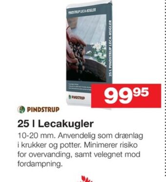 Bauhaus Pindstrup lecakugler tilbud