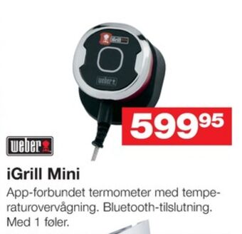 Weber stegetermometer