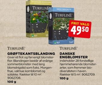 Turfline frø