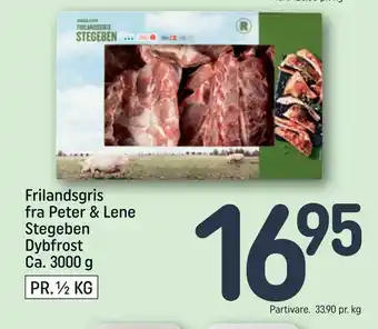 Frilandsgris fra Peter & Lene Stegeben
