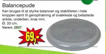 Balancepude