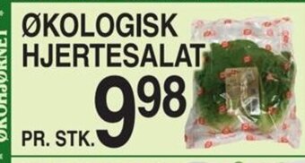 ABC Lavpris ØKOLOGISK HJERTESALAT tilbud