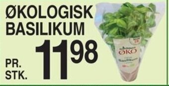 ABC Lavpris ØKOLOGISK BASILIKUM tilbud