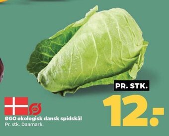 Netto ØGO økologisk dansk spidskål tilbud