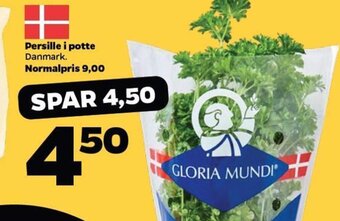 Netto Persille i potte tilbud