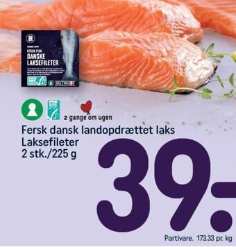 REMA 1000 Fersk dansk landopdrættet laks Laksefileter 2 stk./225 g tilbud