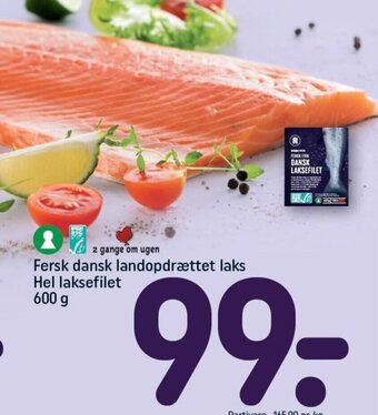 REMA 1000 Fersk dansk landopdrættet laks Hel laksefilet 600 g tilbud