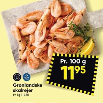 Bilka Grønlandske skalrejer tilbud